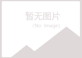 莲湖区白山化学有限公司